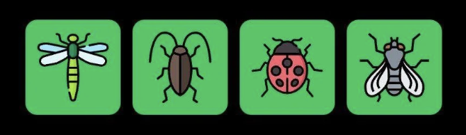 FLIES Daily Combo 10 April 2025